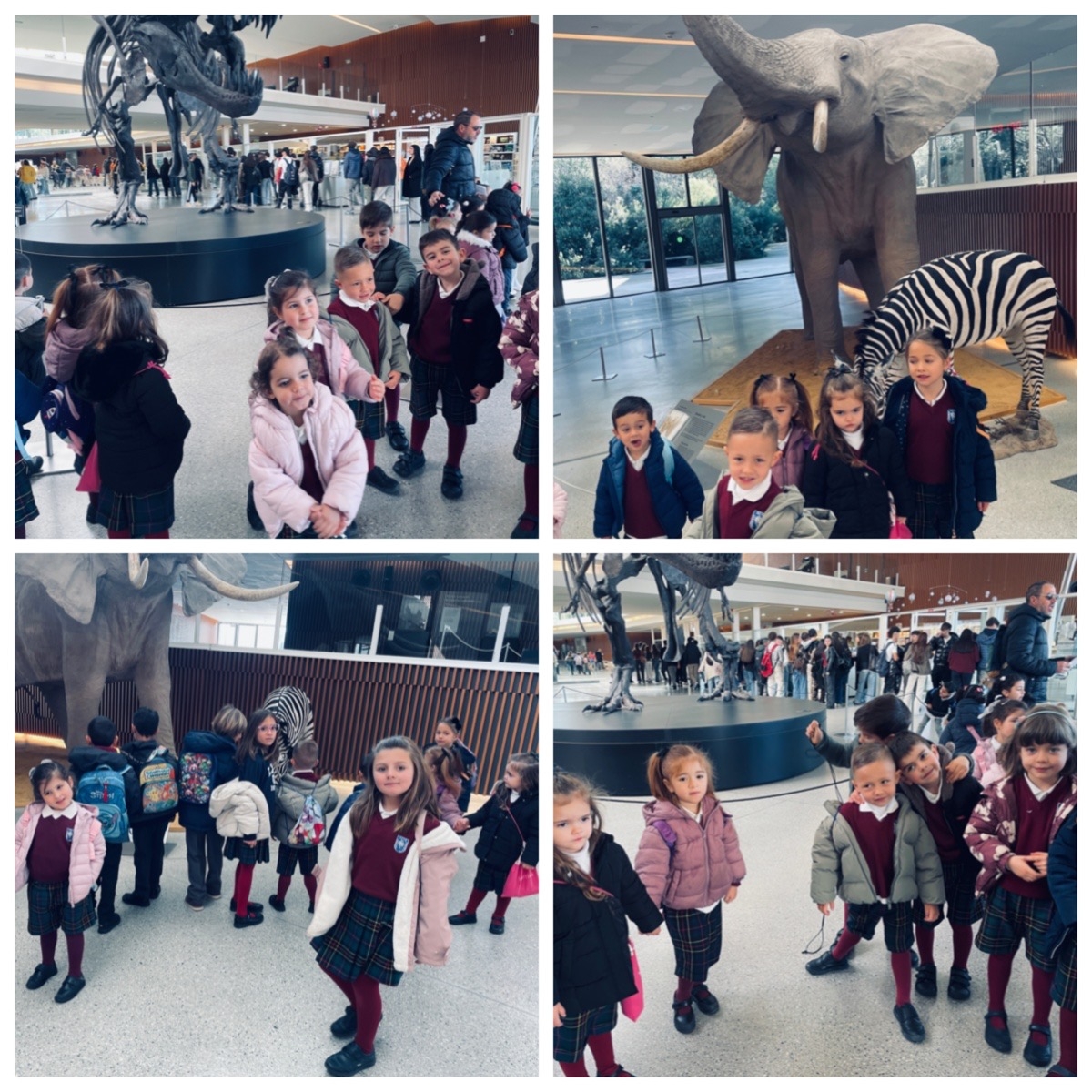 Processed with MOLDIV