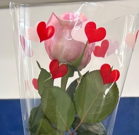 ce25f1f9-cb4a-4c9c-9ecb-afc26c30e9ae